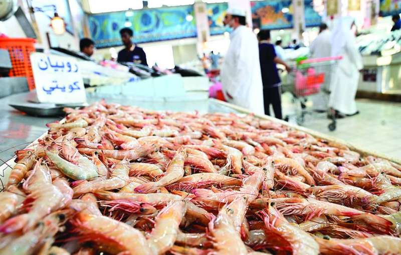 Reduced diesel quota expected to hinder shrimp fishing season