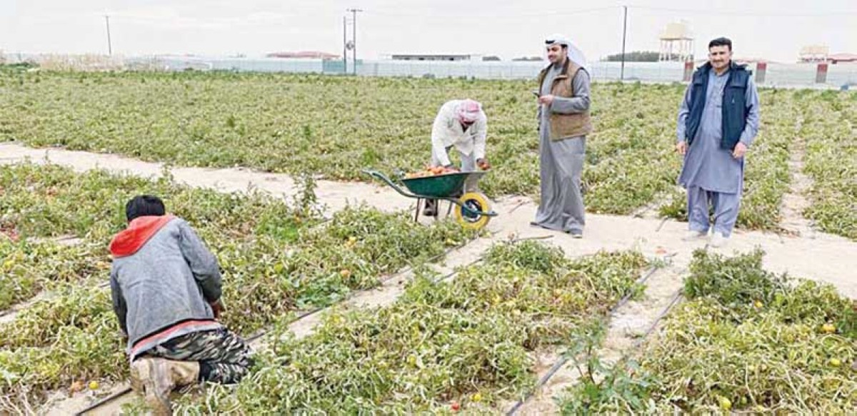 Chinese agricultural technology plays vital role in developing plant resources