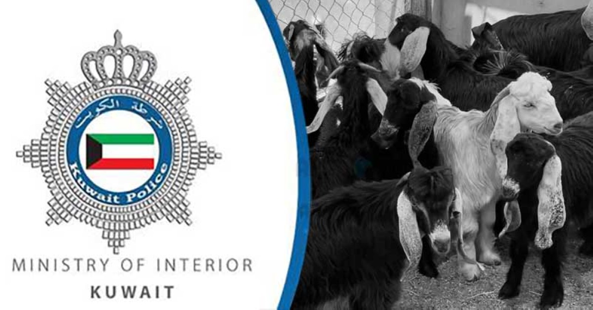 Thief Steals 21 Goats Worth 3,000 Dinars