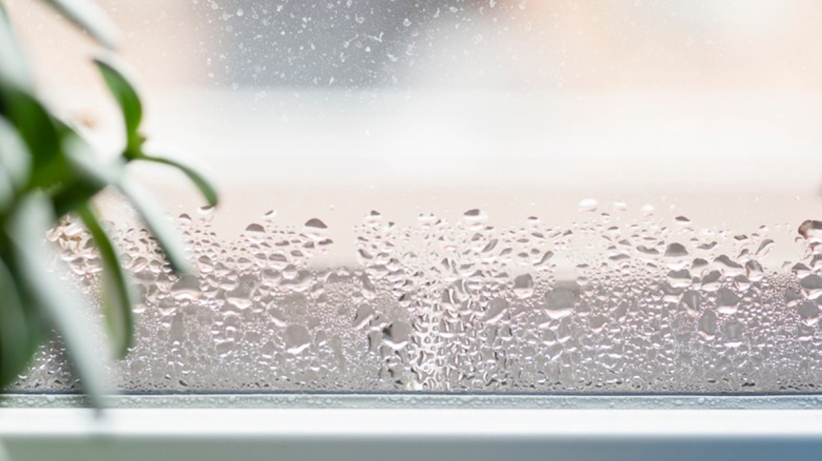 Humid weather expected to persist for over a week