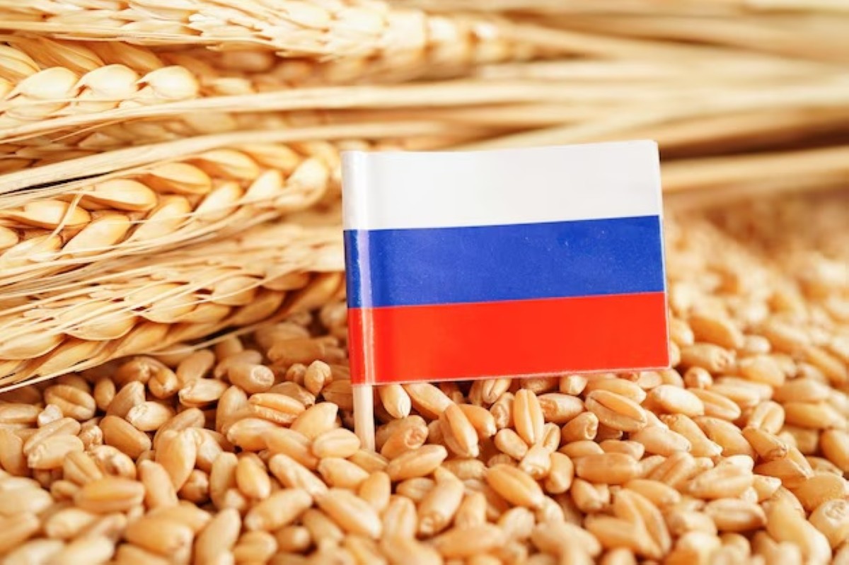 Kuwait among 13 nations set to receive direct grain supplies from Russia