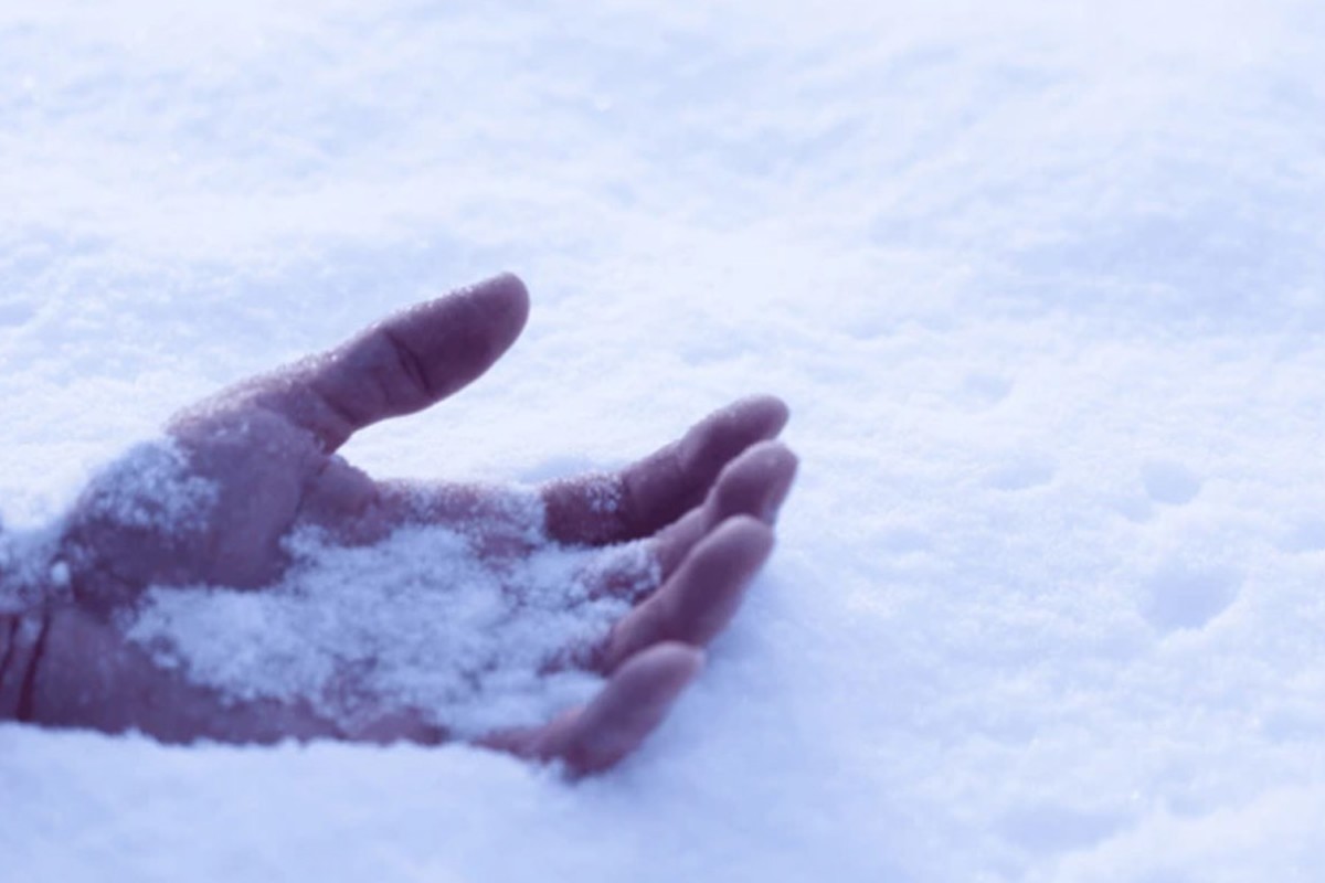 Indian family froze to death crossing the Canada-US border, a perilous trip becoming more common