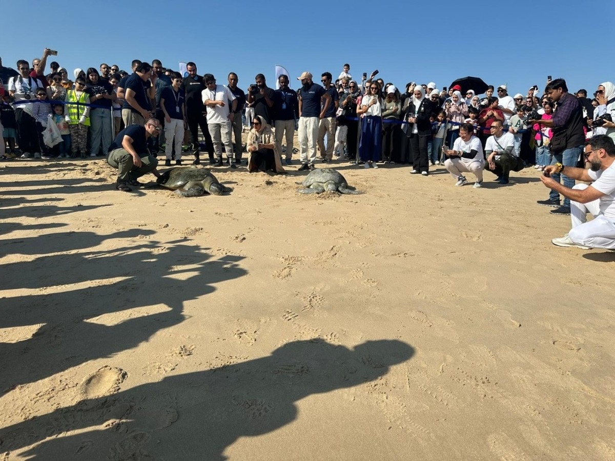Environmental cooperation leads beach cleanup at the Kuwait Towers