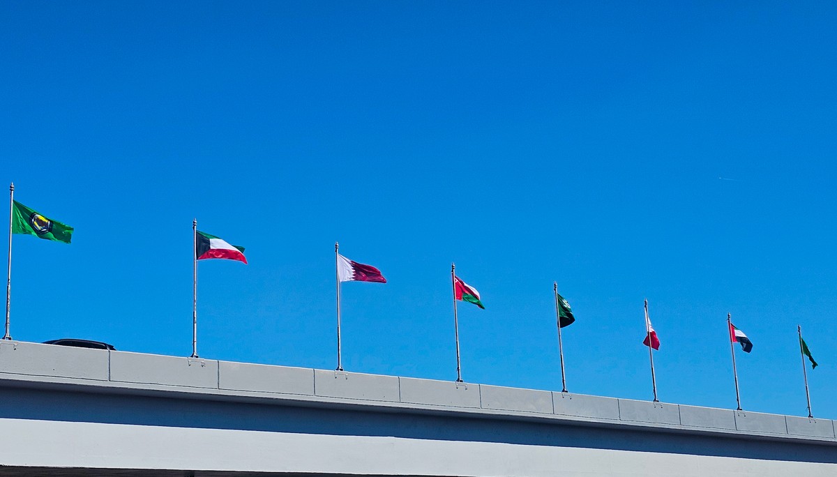 A symbol of cohesion: Gulf flags soar over Kuwait&rsquo;s cityscape