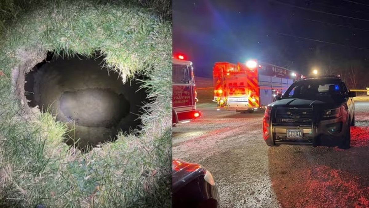 Massive sinkhole swallows grandma searching for her missing cat