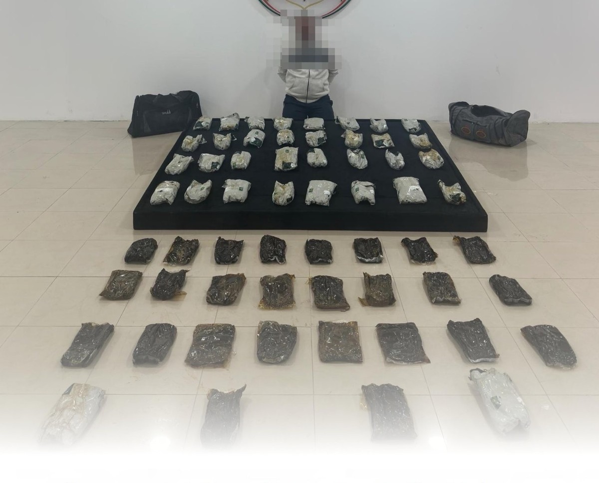 MoI arrests Egyptian national, seizes 60 kilograms of hashish
