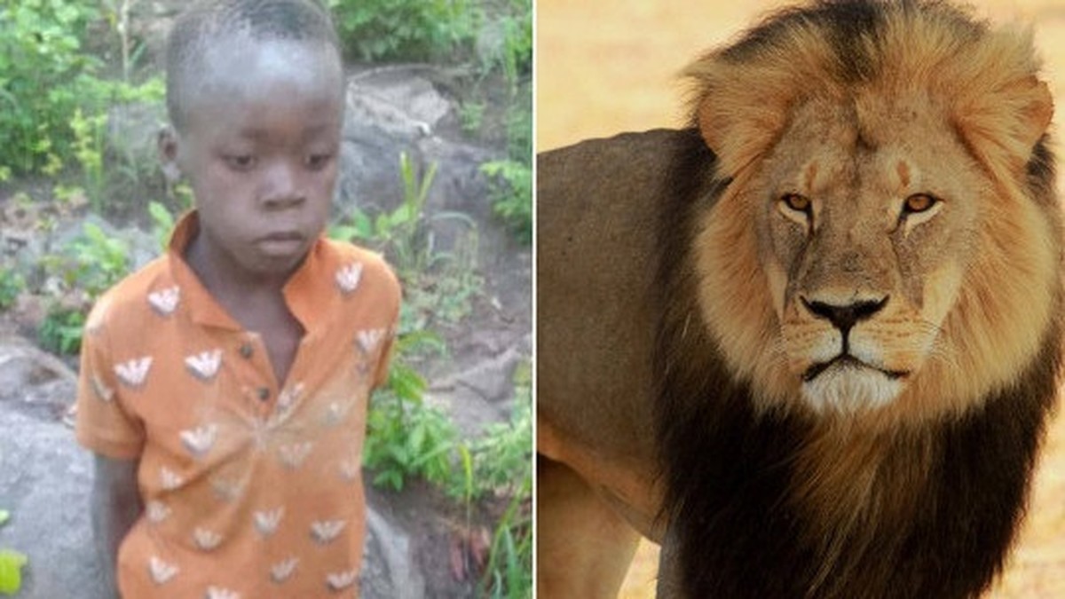 Young boy survives five days in lion-infested game park