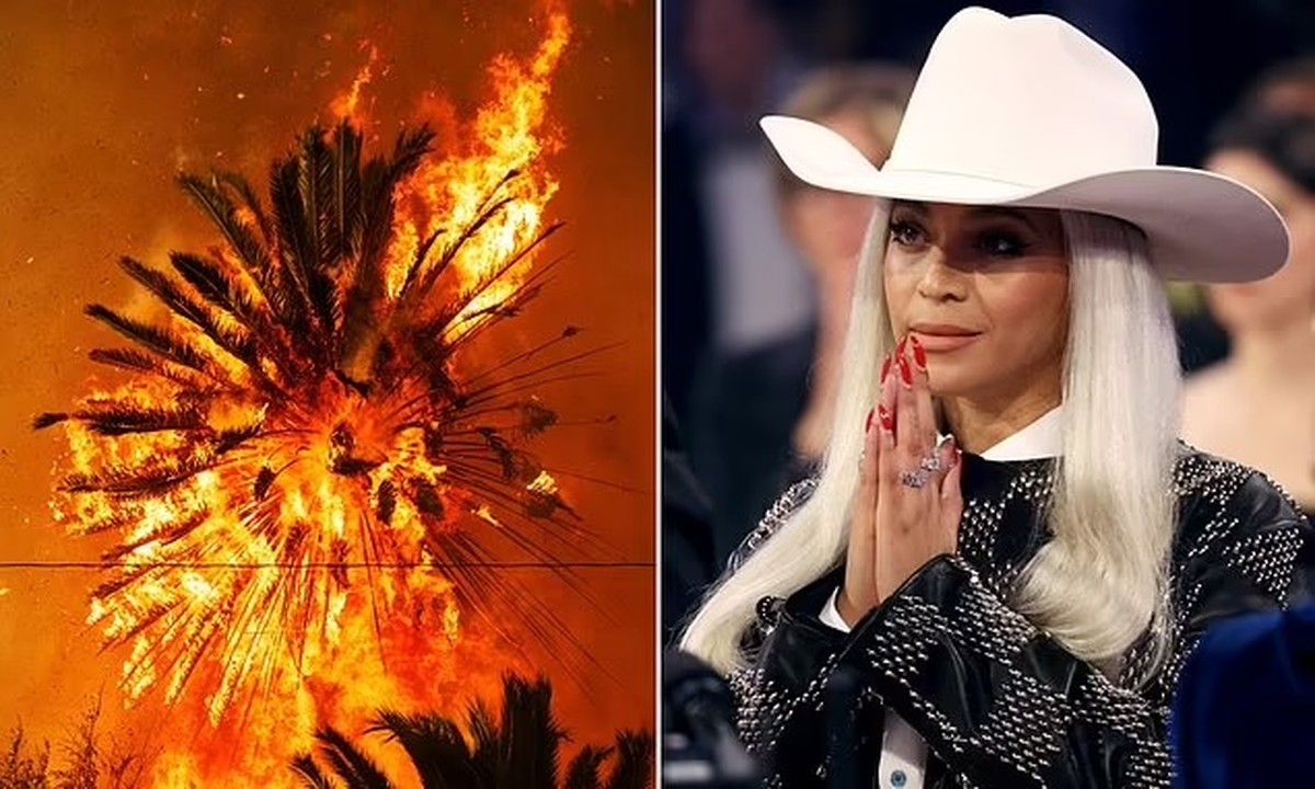 Beyoncé donates $2.5 million to LA fire relief fund | arabtimes