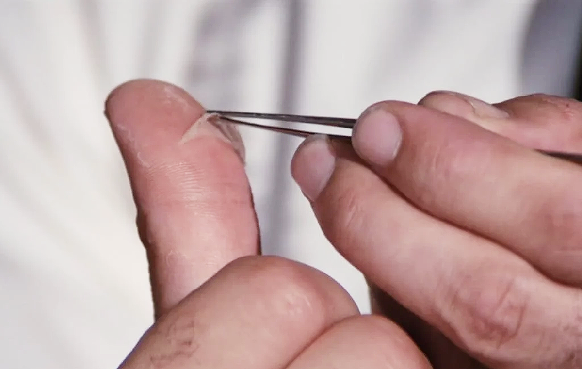 Four Kuwaiti Government Employees Caught in Fingerprint Fraud Scam