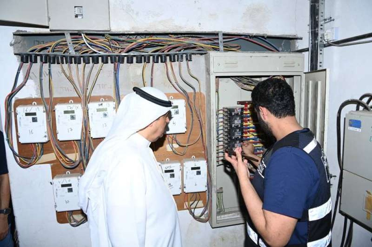 Power theft in farms probed