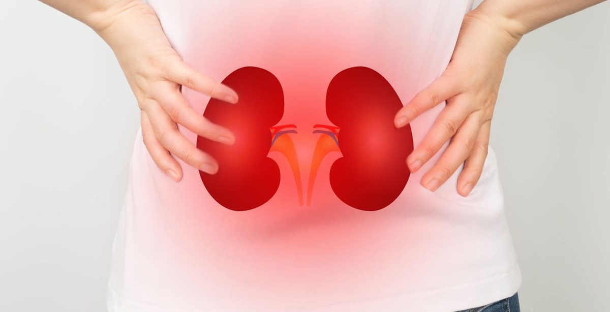 How to protect your kidneys: Simple habits for a healthier future