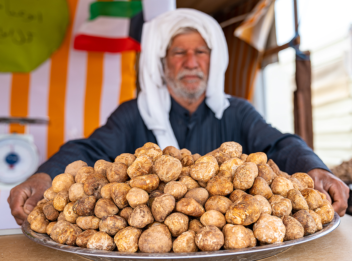 Kuwait&rsquo;s truffle season brings flavorful desert delight