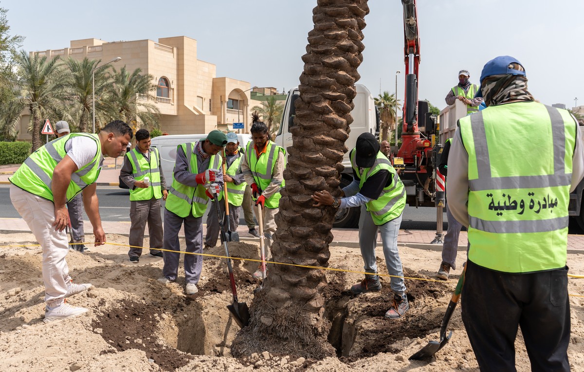 Kuwait planting the seeds for a greener tomorrow