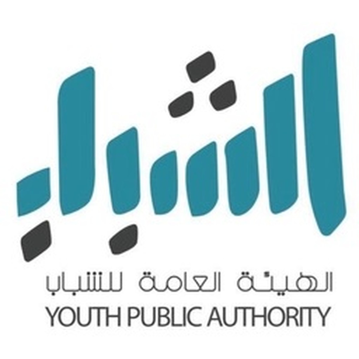 Youth empowerment central to Kuwait&rsquo;s Vision 2035: PAY official