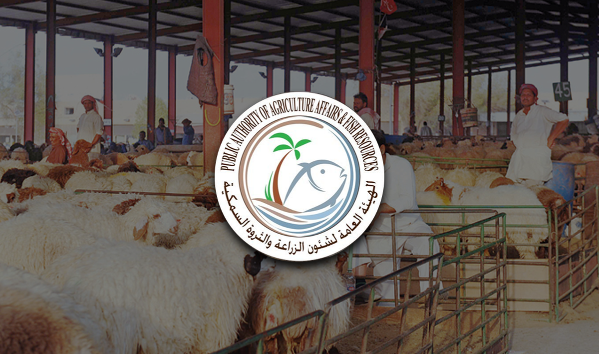 Kuwait Shuts Down Kabd Livestock Market Amid Foot-and-Mouth Disease Outbreak