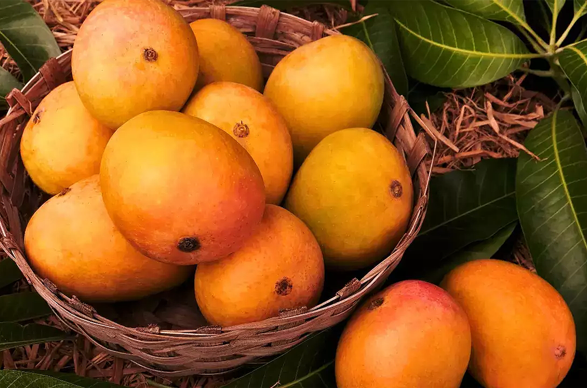 Mangoes and Watermelon in a Diabetic Diet: What You Need to Know