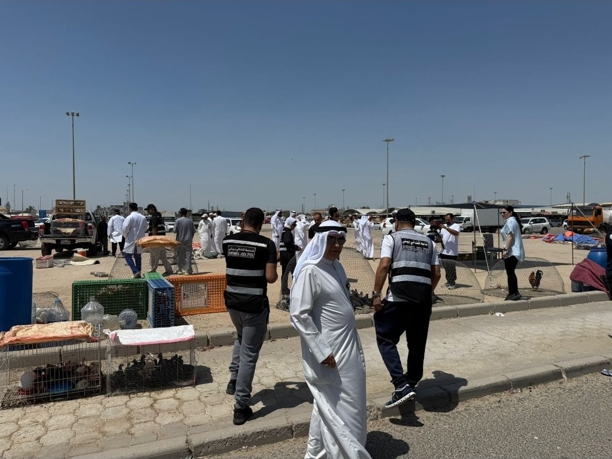 Unlicensed Shops, Street Vendors Caught in  Al-Rai's Bird Market