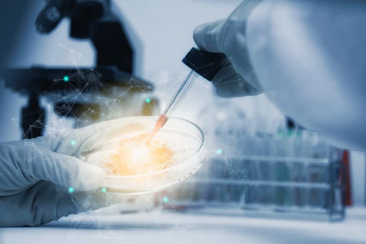 Kuwait to establish first skin bank and microscopic surgery lab