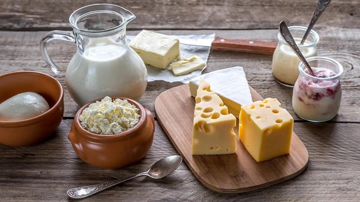 Milk aids gut health, cheese lowers some microbes: new study