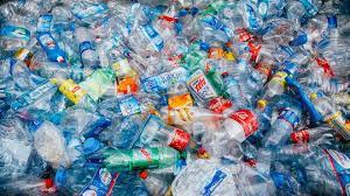 Breakthrough study: Bacteria convert plastic waste into painkillers