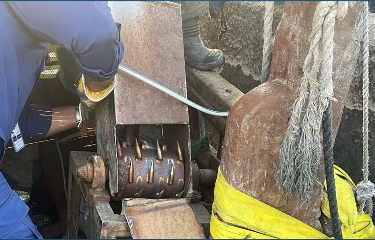 Firefighters free a worker&rsquo;s hand trapped in an ice crusher at fish market
