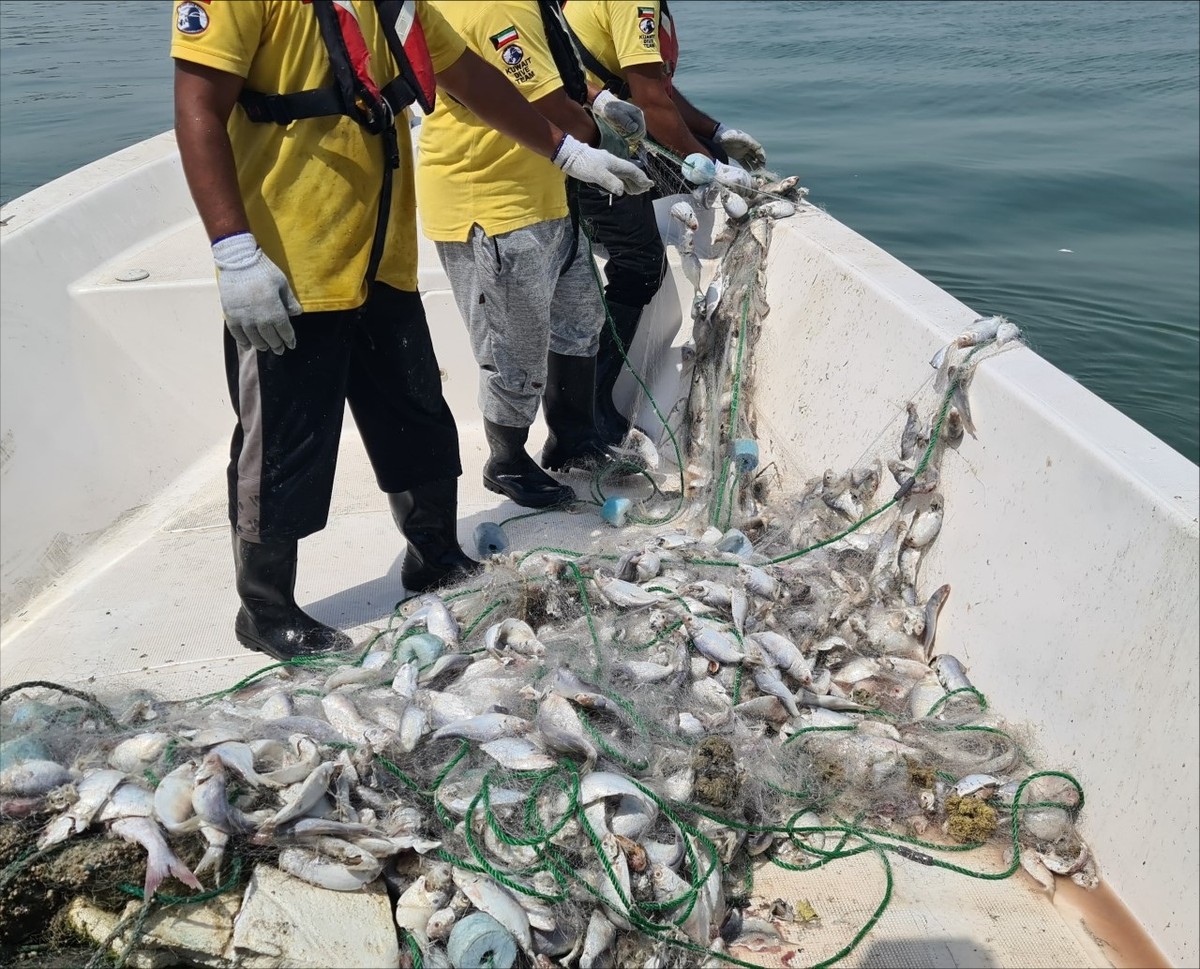 Kuwait Municipality urges action against illegal fishing and marine pollution