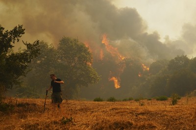 3 dead and thousands displaced as wildfires rage across southern Europe