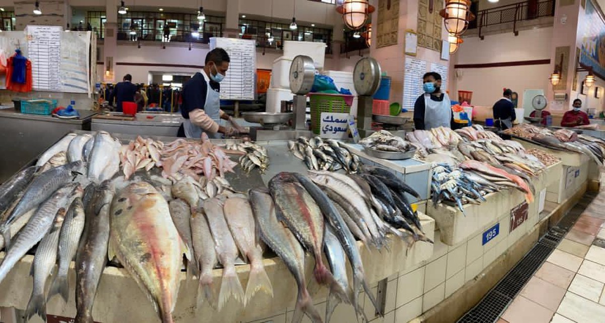 Kuwait waters deliver fresh seafood windfall to markets