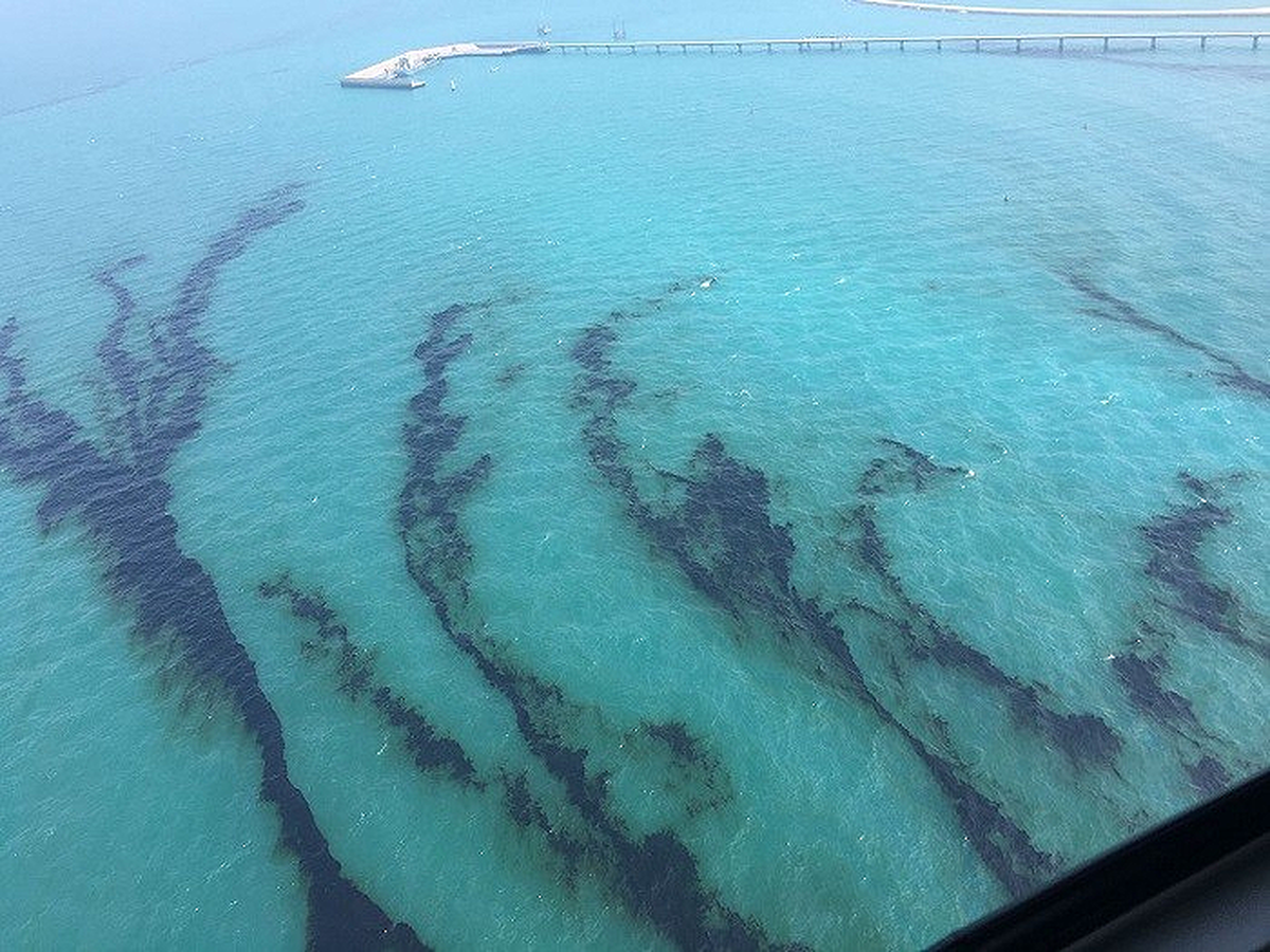 Kuwait Reaffirms Six-Month Jail, KD 200,000 Fine For Marine Polluters