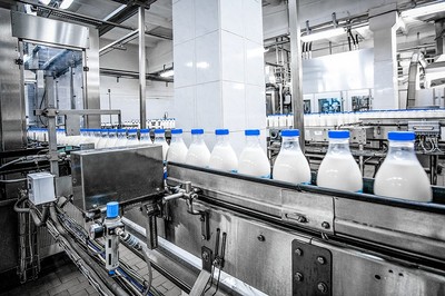 Kuwait’s Dairy Sector Rebounds After Foot-and-Mouth Outbreak