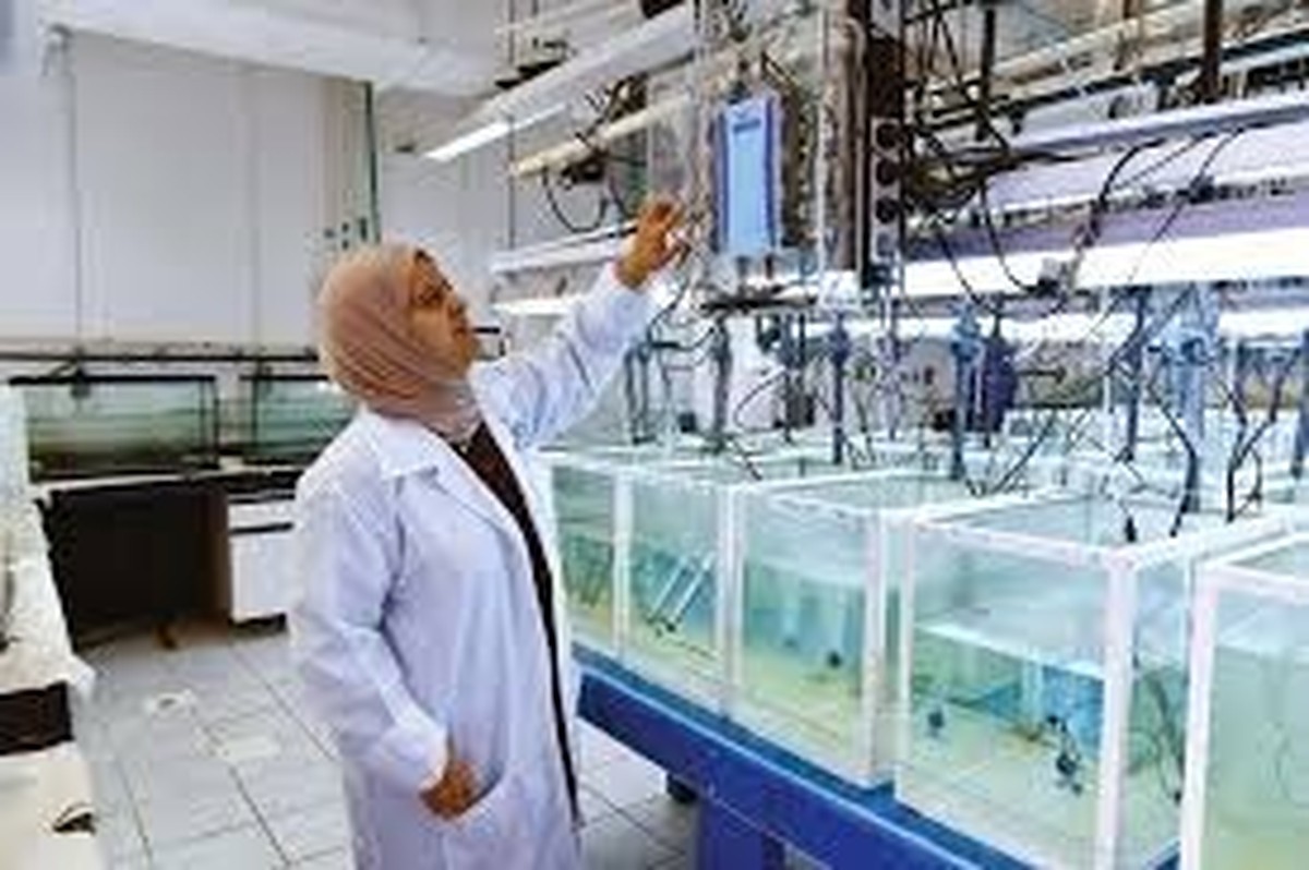 IAEA approves Kuwait's lab as a regional center for environmental monitoring