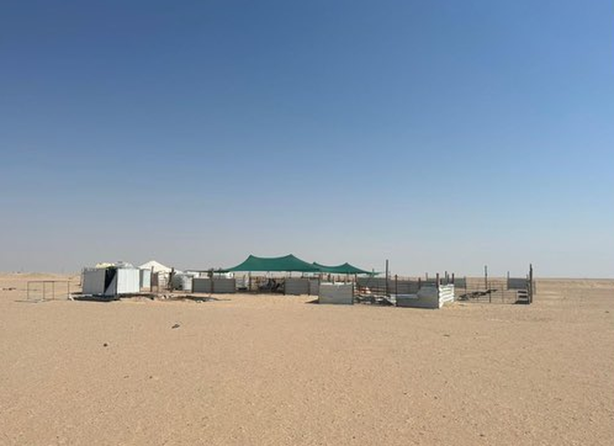 Kuwait to Clear Livestock Tents for Renewable Energy Project in Al-Jahra