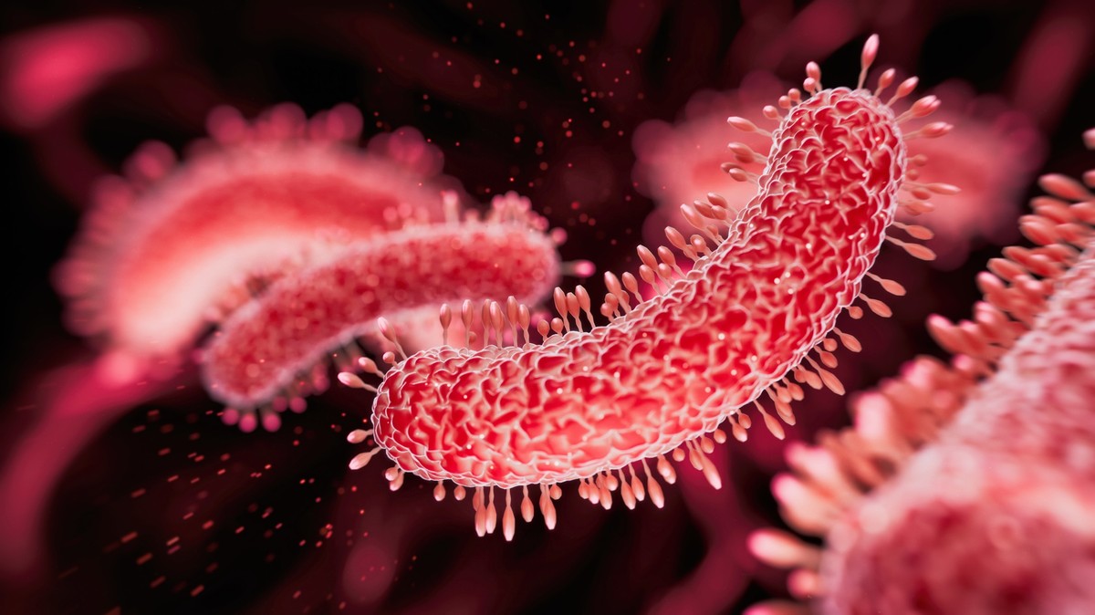 AI-designed viruses emerge as new warriors against bacterial infections