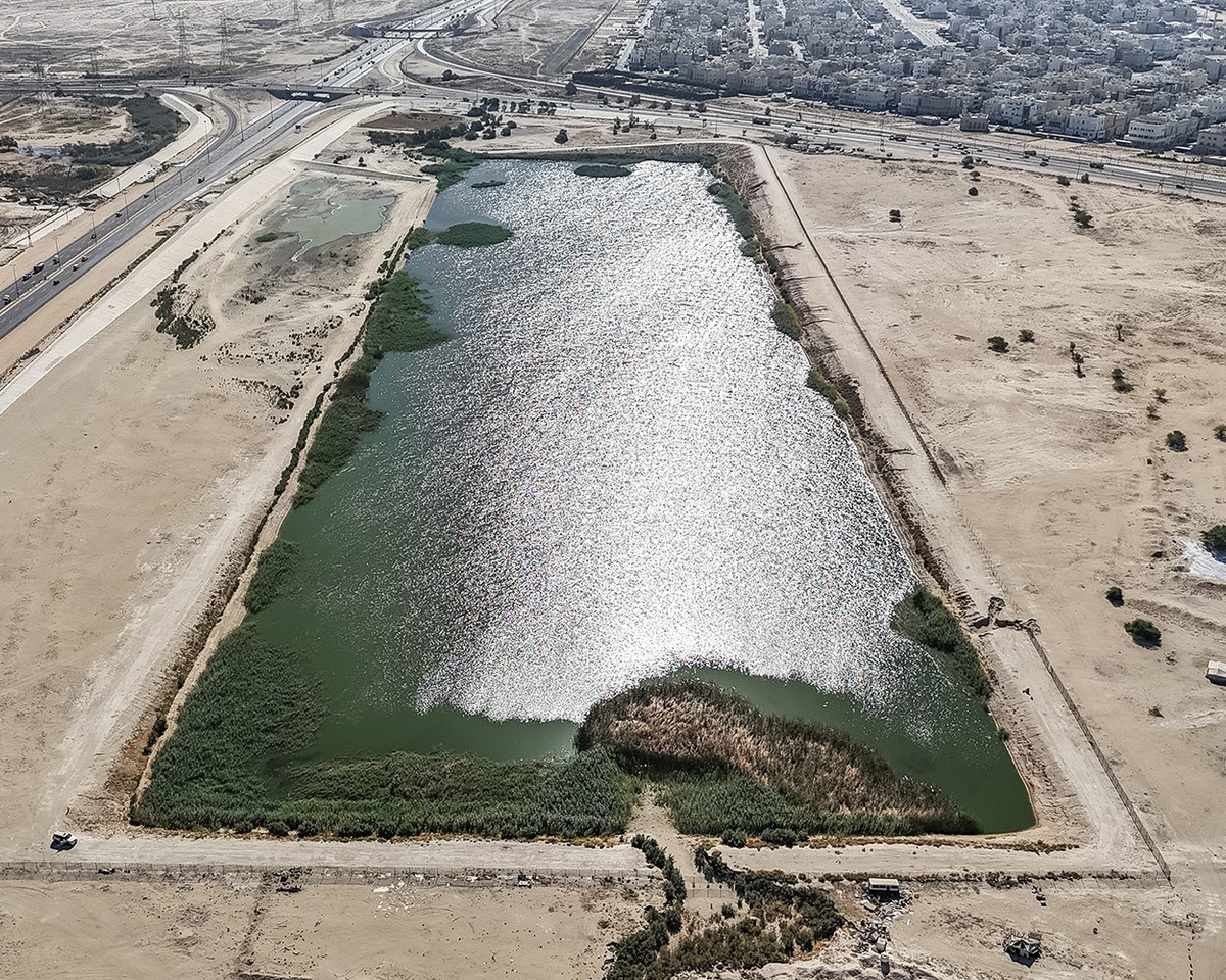 From desert to oasis: Seasonal rains bring new life to Kuwait&rsquo;s arid lands