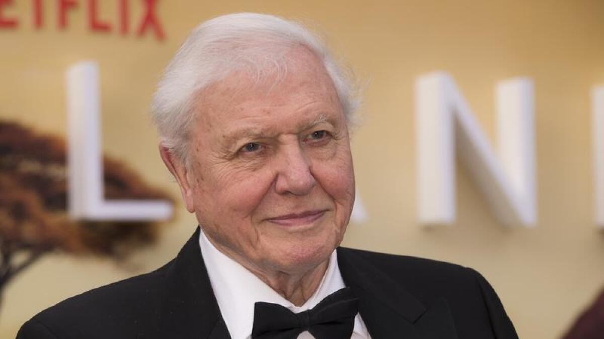David Attenborough, 99, breaks record as the oldest Daytime Emmy winner