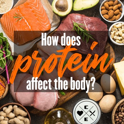 Why more protein isn’t always better for your body