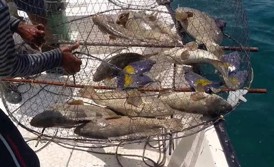 Kuwaiti duo held fishing in restricted area of sea