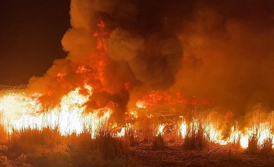 Kuwait Fire Teams Contain Fire in Vegetation Area Near Sabah Al-Ahmad ...