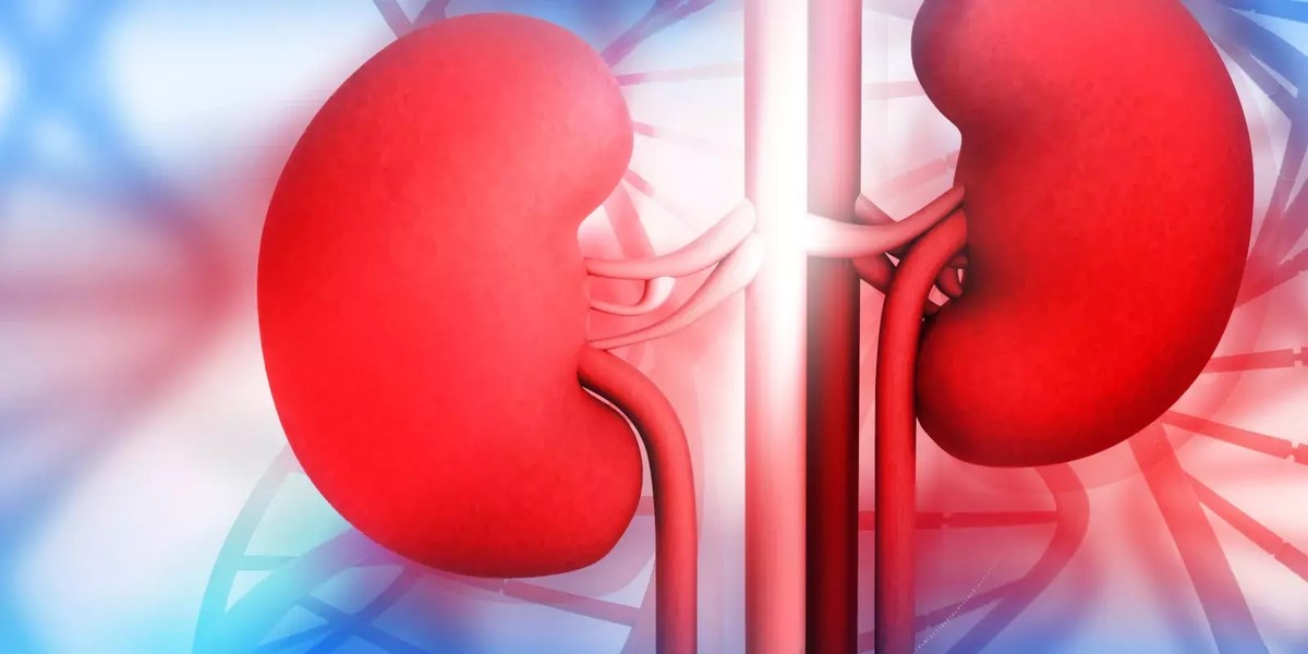 Researchers report kidney damage reversal, raising hope for future cure