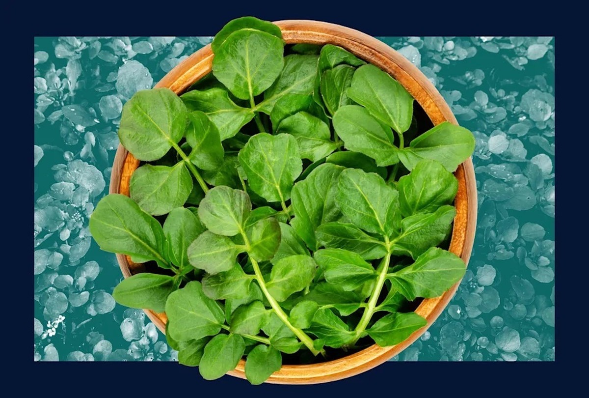 Zesty watercress declared the most nutritious vegetable by CDC