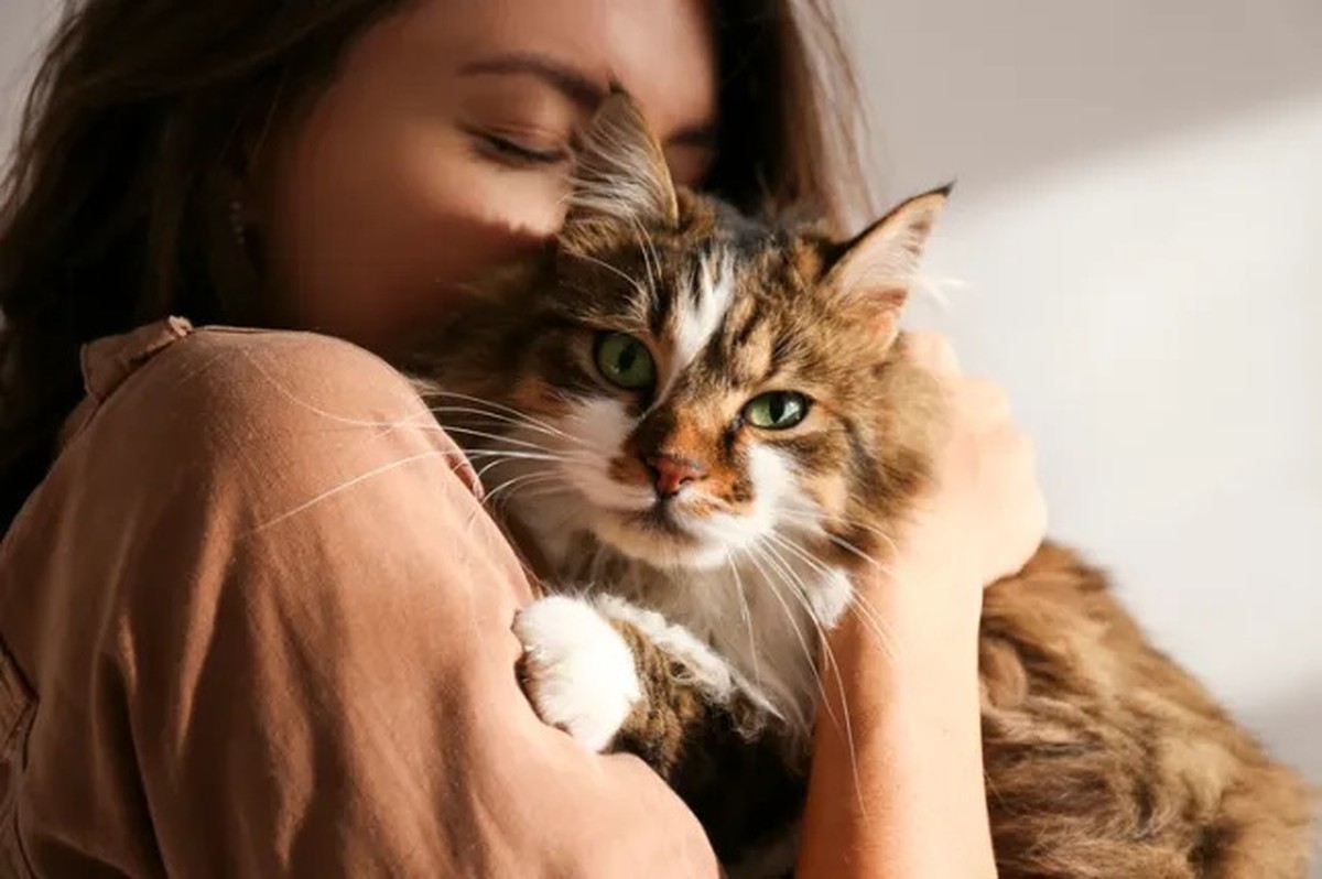 Owning a cat may double risk of schizophrenia, study finds