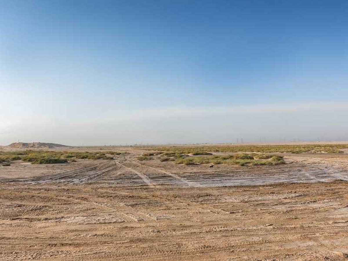 Vacant land ruling sparks cautious moves in market