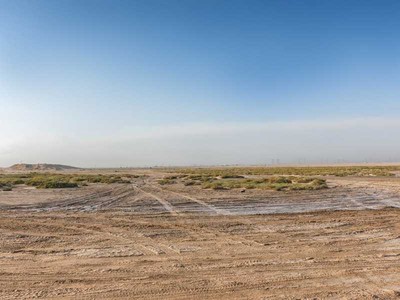 Vacant land ruling sparks cautious moves in market