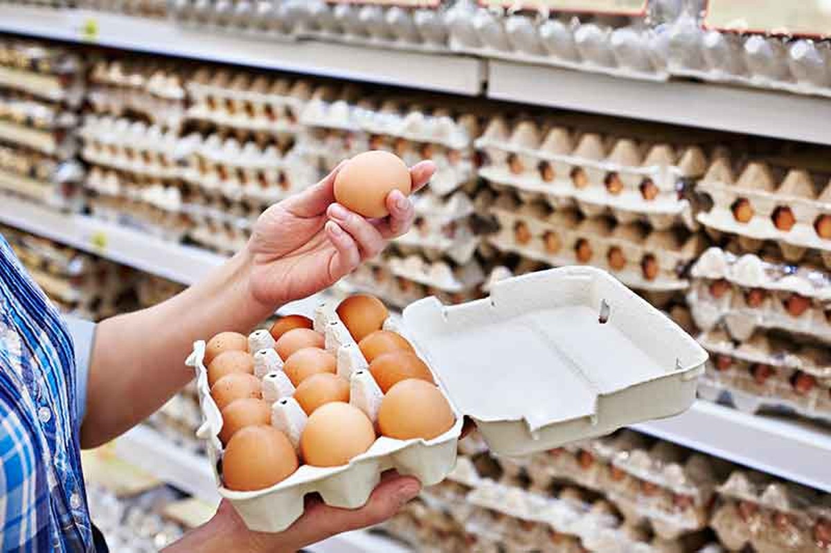 Kuwait&rsquo;s Egg Supply Shortage Expected To Normalize By December 10