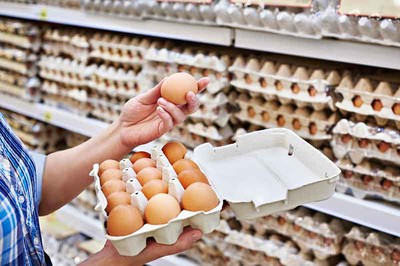 Kuwait’s Egg Supply Shortage Expected To Normalize By December 10
