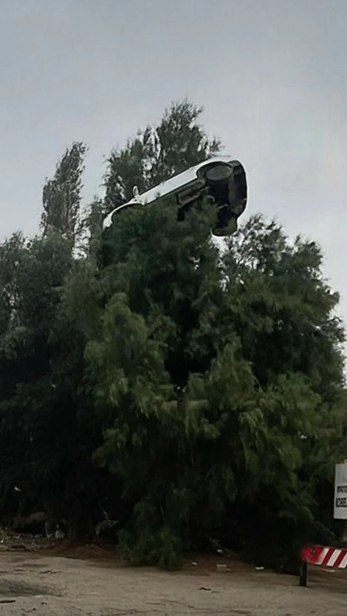 Tree-top car stuns Kuwait motorists