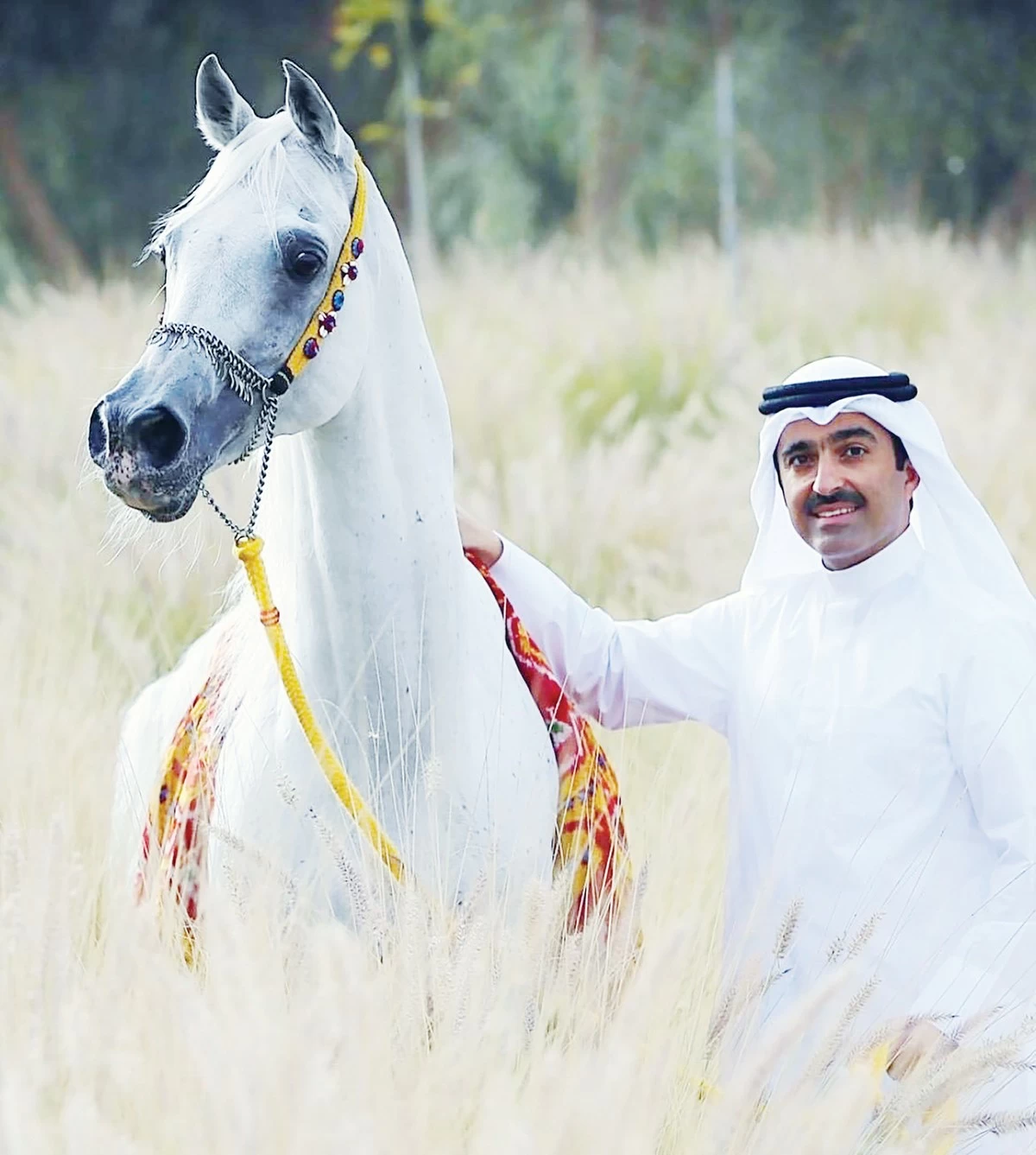 Al-Marzouq sponsors prestigious equestrian races