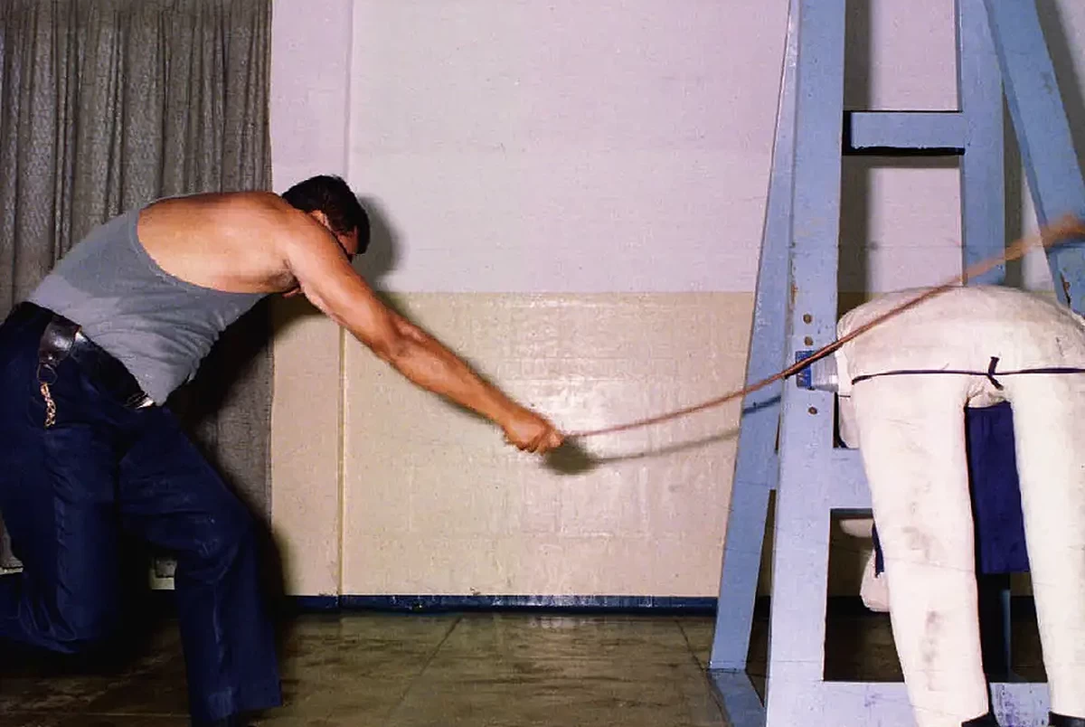 Singapore to cane scammers, up to 24 strokes from Dec 30