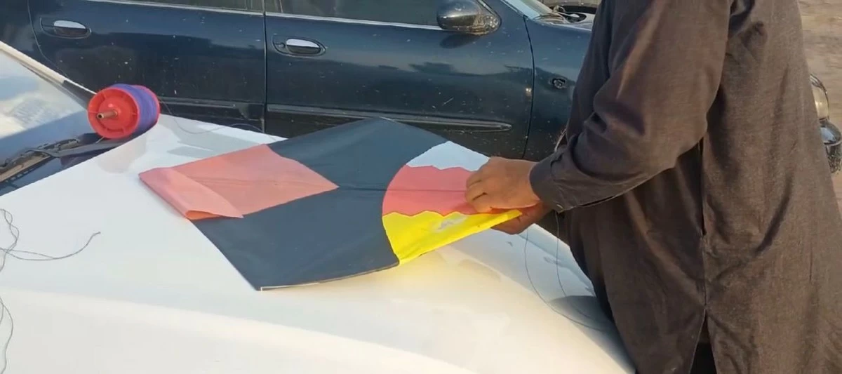 SWAG Organize 4th Kite Flying Festival