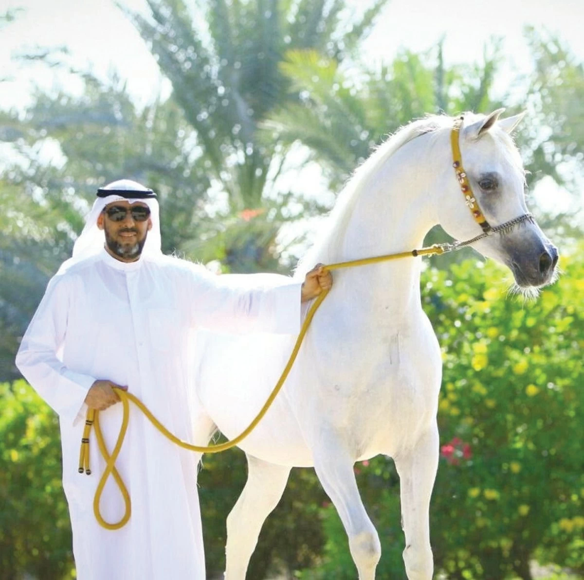 Bin Shakr boosts equestrian sport with Egyptian Arabian horse races